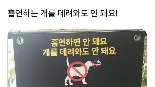 “모든 안전수칙은 누군가 해서 쓰여진다”,,