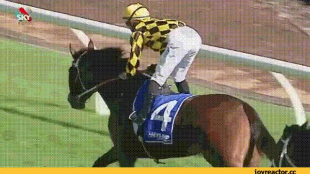 경마장에서 추월하는 꿀팁.