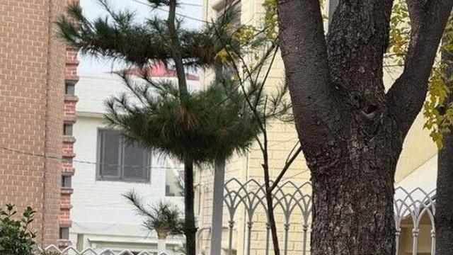 공효진 빵 터졌다…하정우 무슨 얘기했길래?[★핫픽]