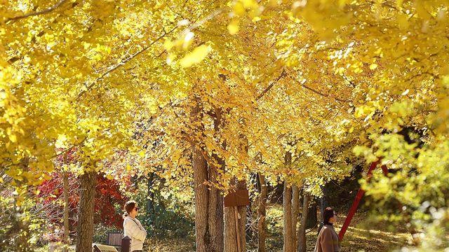 맑고 일교차 큰 주말…일요일 늦게 수도권·강원 5㎜ 미만 비