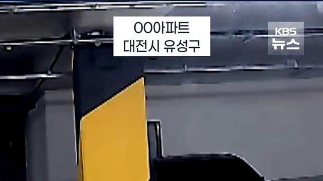 아파트 지하주차장 도둑고양이 촌