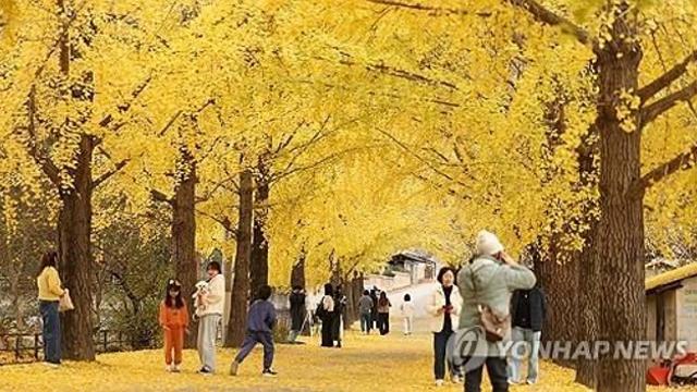 대구·경북 대체로 맑음…낮 최고 15∼17도