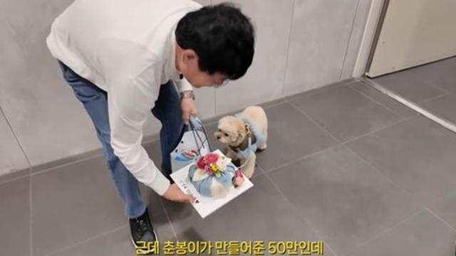 이경규, 천재견 '토리' 앞에서 무릎 꿇었다…'깜짝' 훈련사로 변신 (갓경규)