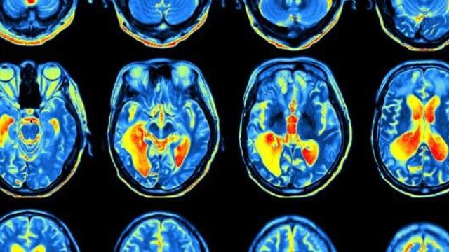 2425년에서 독자들이 온 이유