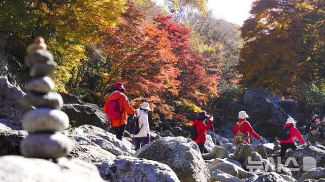주말, 전북 낮 16~19도 맑고 포근…동부 내륙 서리·얼음