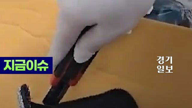 '시가 1200억원?' 마약 36kg 밀반입...13명 검거