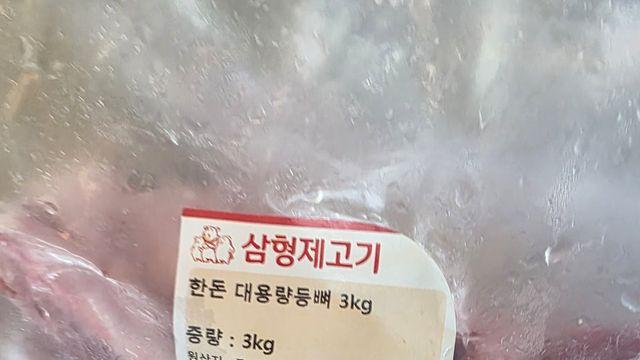 아기돼지 3형제 근황