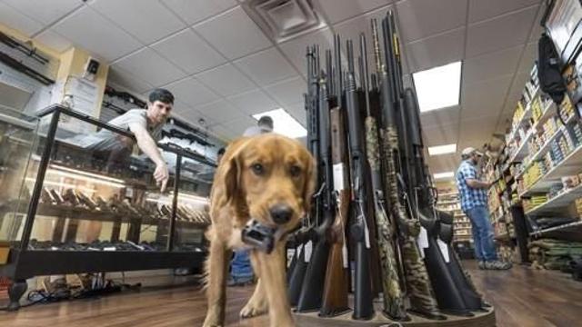 침대에 총 뒀다가…반려견이 잘못 밟아 주인에 총상