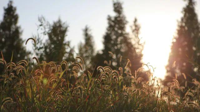 오늘 찍은 거 투척