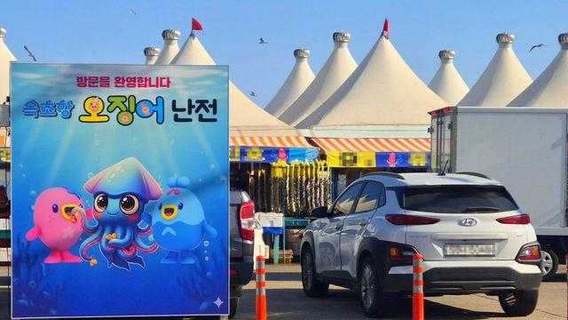 [현장] '불친절' 논란 딛고…겨울 별미로 돌아온 속초 오징어난전