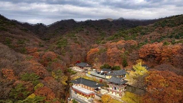 가을여행? .고즈넉한 불상과 트렌디한 카페가 공존하는 경북 경산으로 가요!..