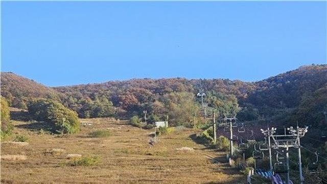 [내일은 못볼지도] 짧아지는 겨울, 귀해지는 눈…문 닫는 스키장들