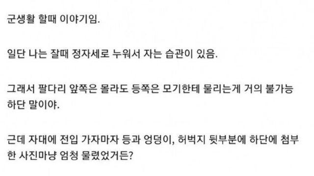 콧수염이 생각나는행보관.jpg