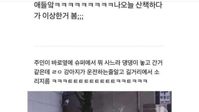 운전하는 개본 썰 외