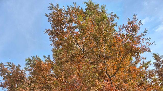 삶을 준비한다는 것, 이 시간을 소중히 살아가는 것