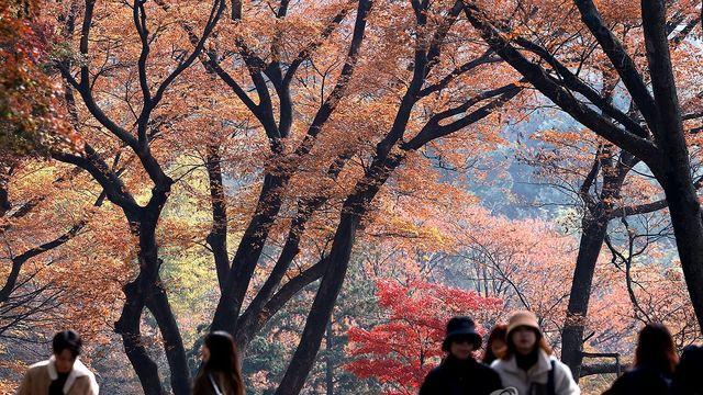 전북 큰 일교차…낮 최고 17~19도