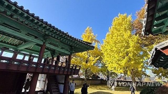 [픽! 전주] 가을빛 짙어가는 한옥마을