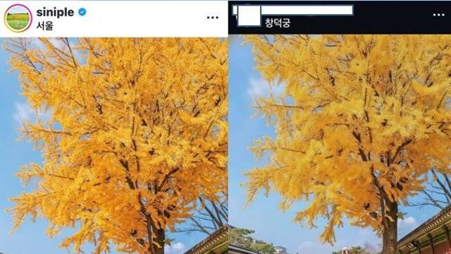 두 사진 중 하나는 작가의 작품, 하나는 AI 조작