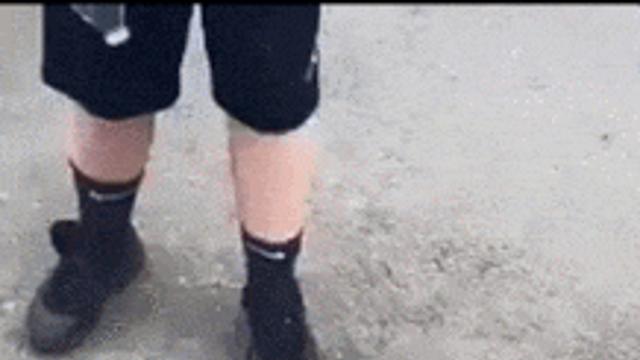 물 좀 달라던 야생 동물.