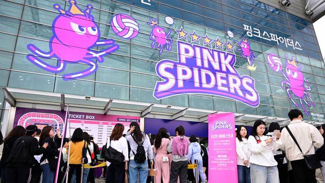 김연경 예능 출연 효과? V리그 여자부, 우려와 달리 흥행 대박→1라운드 최고 시청률 경신