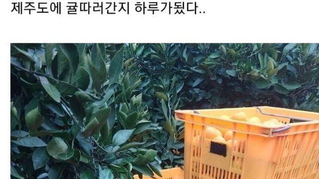 와이프가 떠난지 하루가 지났다 jpg