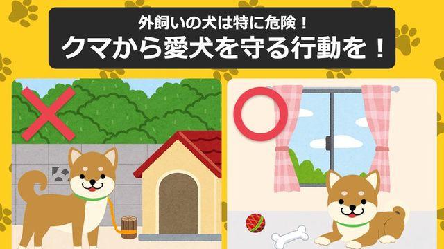 마당에서 키우던 개들 집안으로 들여보내라는 일본