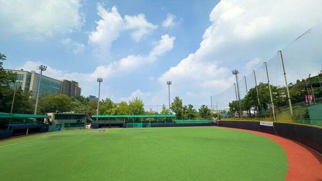 '유소년 야구 성지' 장충리틀야구장 전면 개선…육성 환경 조성