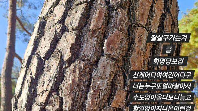 [보감과의 동행163]  잘살구가는겨