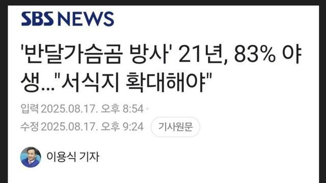 설악산에도 반달곰 풀어야 한다는 전문가들