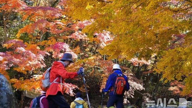 대구·경북 대체로 맑고 큰 일교차…아침 -2도·한낮 20도
