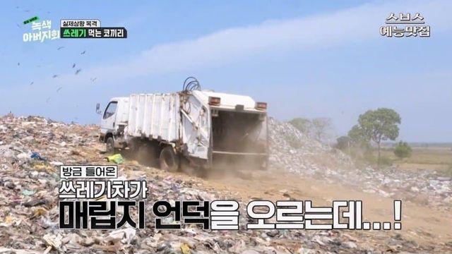 쓰레기에 중독된 코끼리들