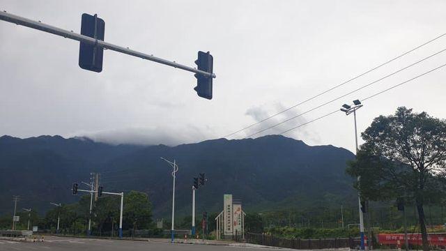 하이펑 동사리 탐어