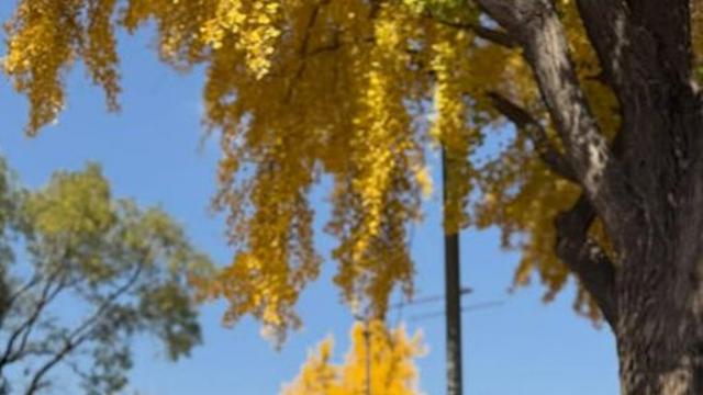 [IS하이컷] “꿈처럼 행복해요”…’암 투병’ 박미선, 건강한 근황