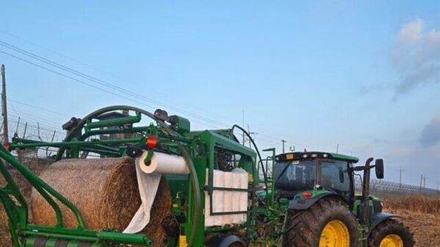 경기도, 한강하구 자생 갈대 수거 사료화 사업 4년 만에 재개