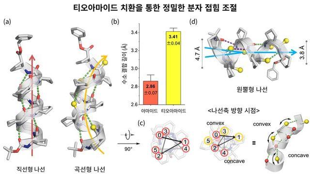 “원자 하나 바꿔 ‘분자 접는 법’ 찾았다”···KAIST, AI 신약 개발 앞당겨