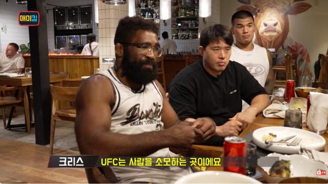 매미 ufc에 집착하지마라 일침.jpg