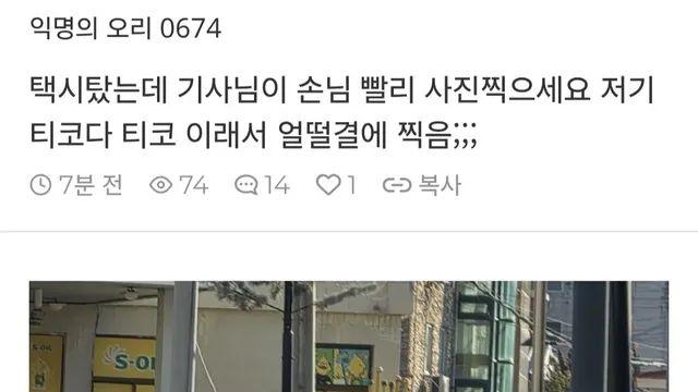 저기 티코다 티코 이래서 얼떨결에 찍음,,