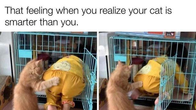 자 들어가 들어가