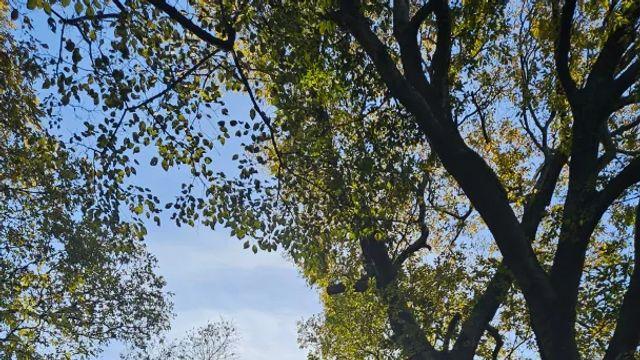 계룡산 다녀왔습니다.