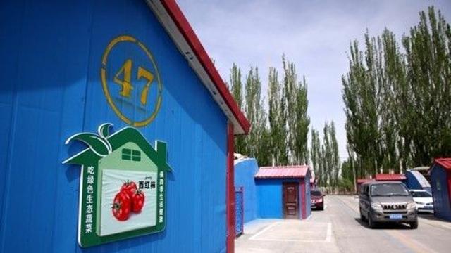 이탈리아로 수출 줄어들자…중국 신장에 쌓여가는 토마토 재고