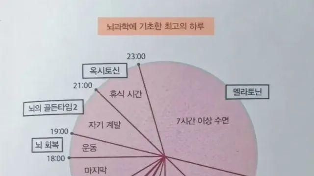 뇌 과학에 기초한 최고의 하루 루틴.,,