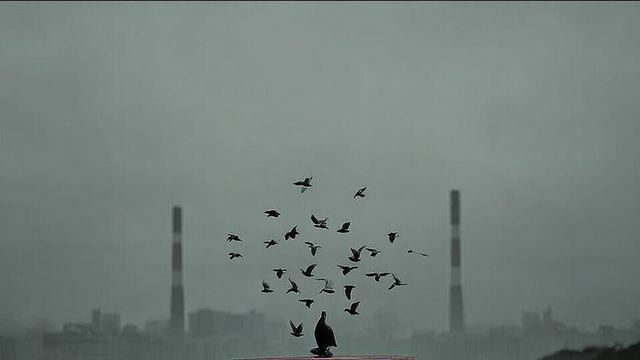 [왜 지금 포스코인가?]⑨ 철강을 '지키지 말고' '다시 발명'할 때다