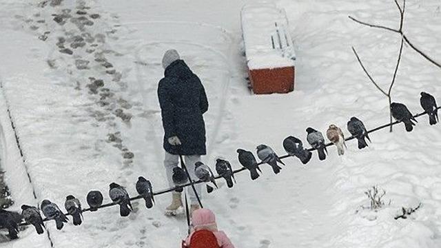 겨울 앞둔 우크라, 그리스와 미국산 가스 공급 협정(종합)
