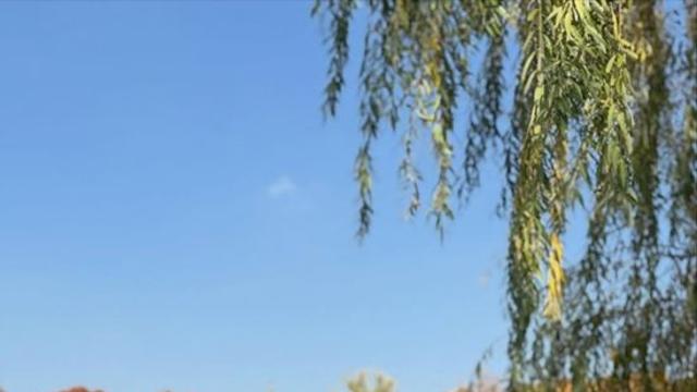 '유방암 투병' 박미선, 긴 휴식 끝 SNS 재개…직접 전한 근황 '뭉클+응원' [엑's 이슈]