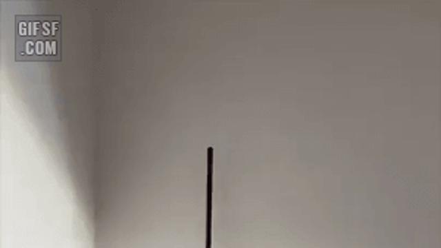 빡빡이와 아재 장난.