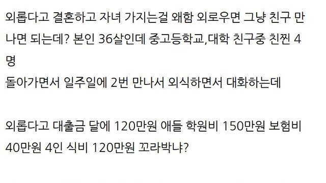 결혼 왜 하냐는 디시인