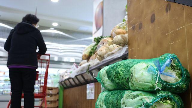 김장철 '금배추' 부담 덜어…한포기 6천원→3천원 하락