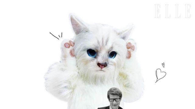 샤넬, 디올의 뮤즈: 패션왕의 반려동물로 산다는 건 어떤 인생일까?