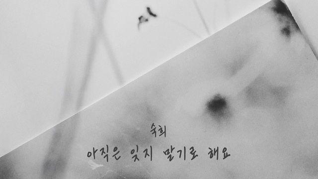 숙희, 새 싱글 ‘아직은 잊지 말기로 해요’ 오늘(17일) 발매