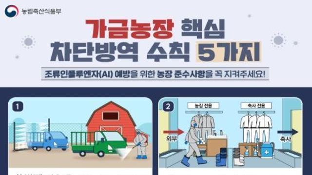농림축산식품부, 경기 화성 산란계 농장에서 H5형 조류인플루엔자 항원 확인